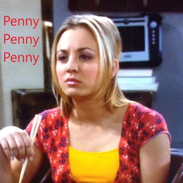 Cover art for Penny Penny Penny (What's Your Last Name?)